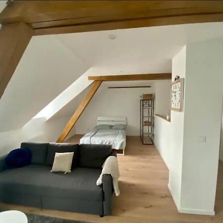 Studio Cosy Comme A La Maison Mulhouse Exterior foto